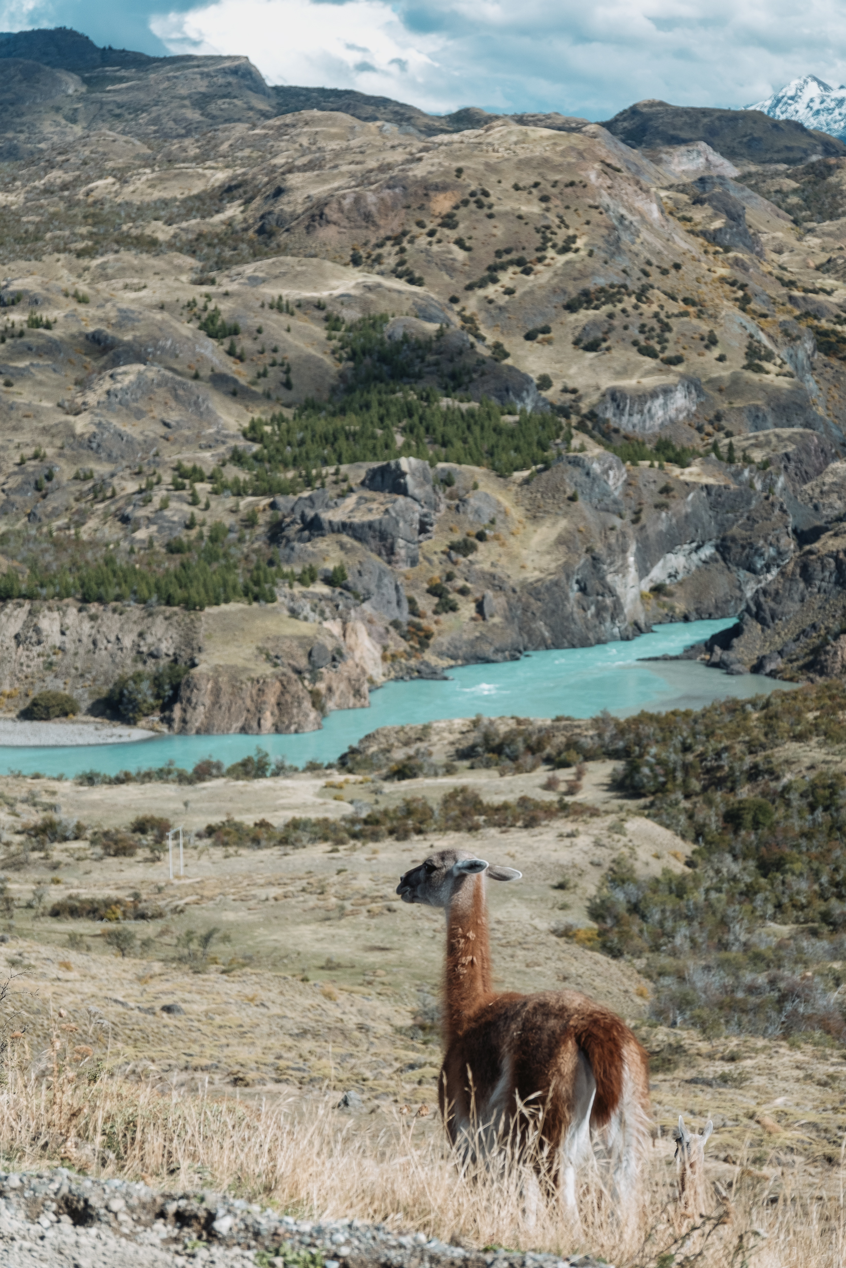 XH2S2900 Guanaco Rio Baker